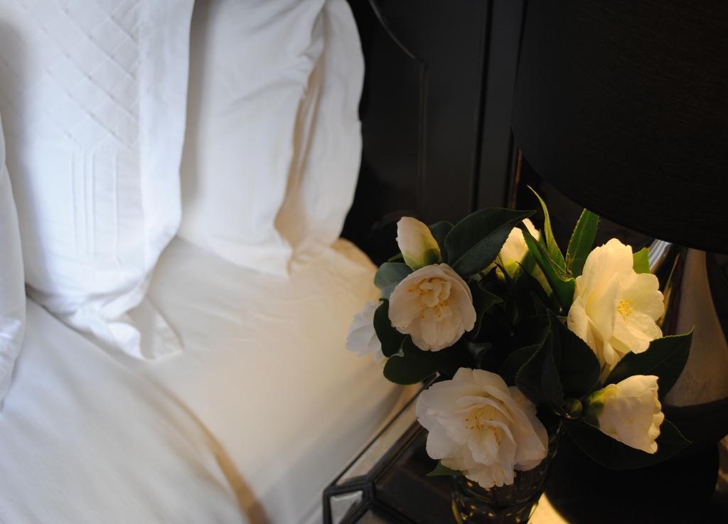 Bed Of Roses Villa Apollo Bay Eksteriør billede